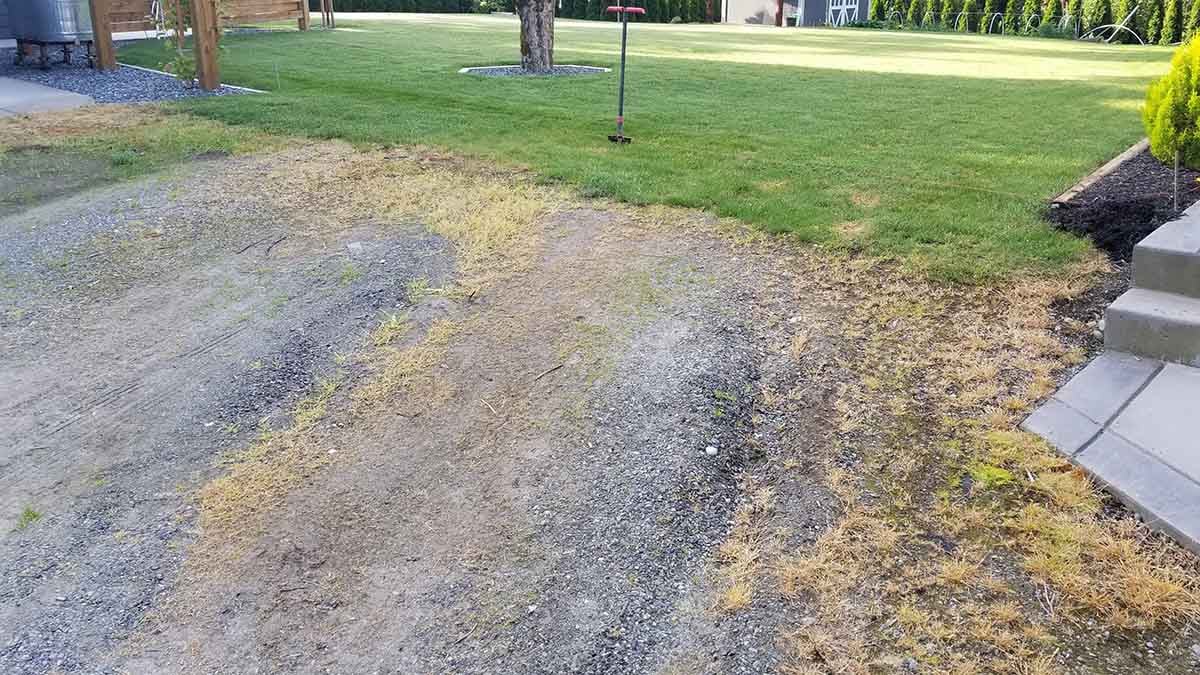 Photo 1 of Newly Excavated Parking Area in Abbotsford