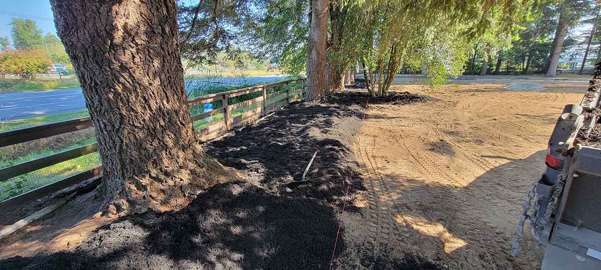 House in Abbotsford Landscaping & Excavation Photo 11