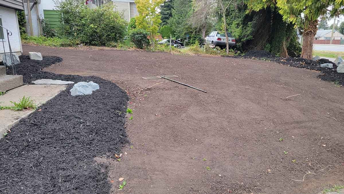 Aldergrove Yard Drain Installation Photograph 7