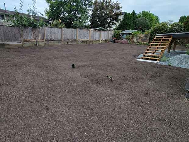 Aldergrove Yard Drain