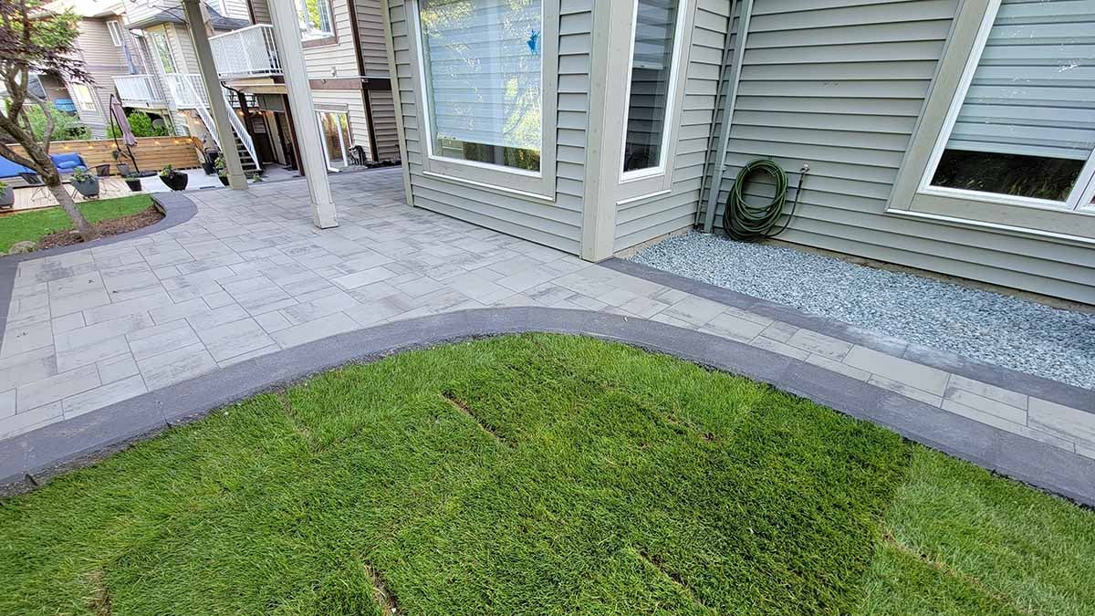 Backyard Buttoned Up