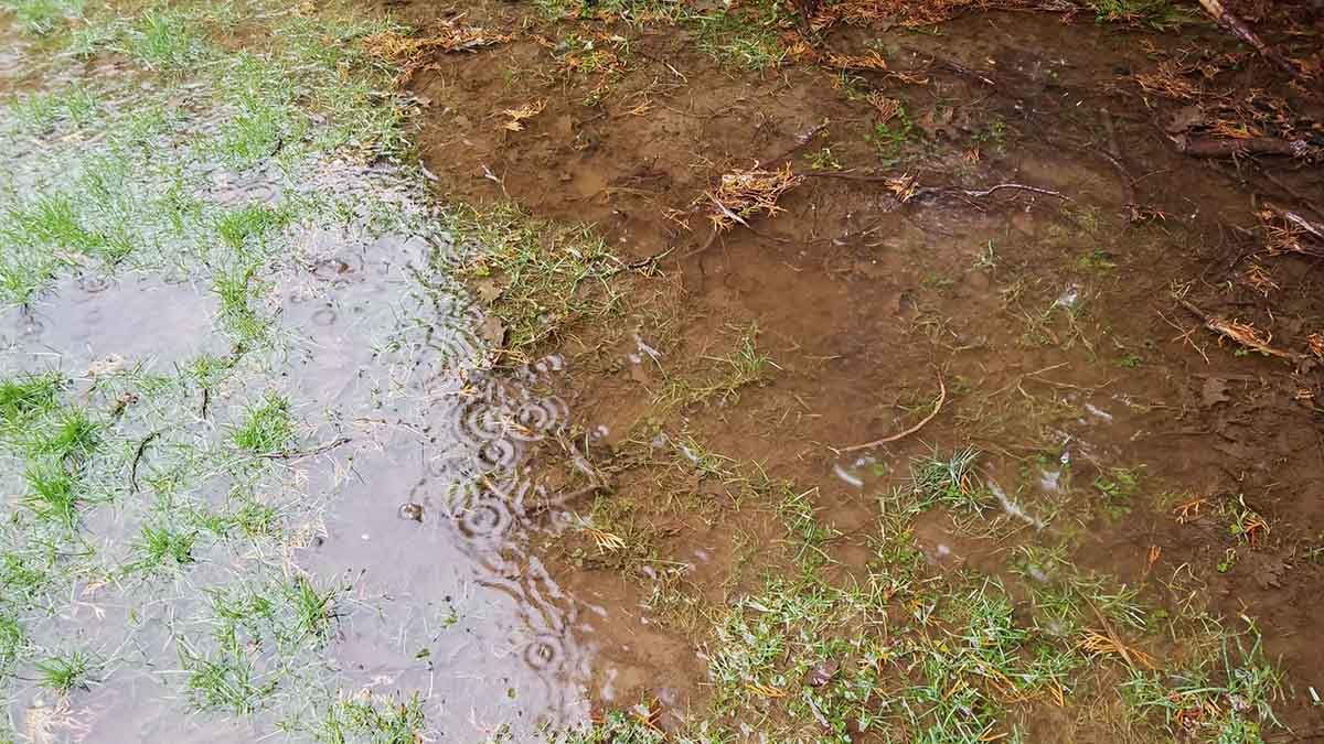 Backyard in Abbotsford French Drain Install 1