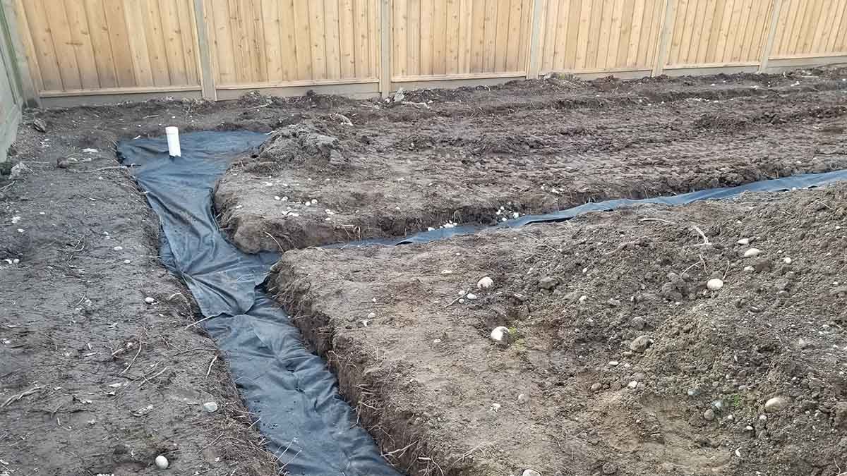 Backyard in Abbotsford French Drain Install 16