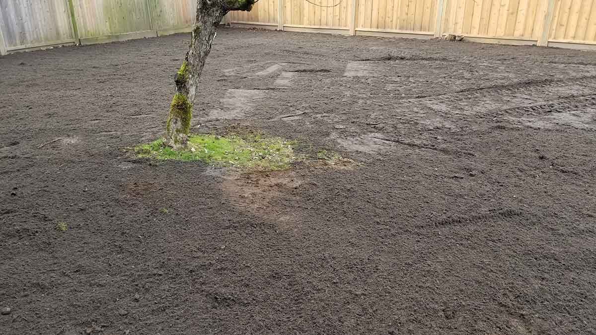 Backyard in Abbotsford French Drain Install 20