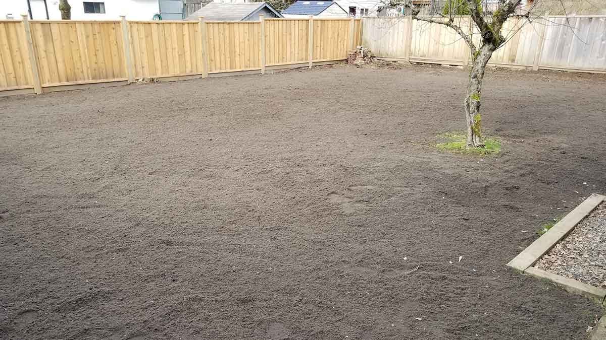 Backyard in Abbotsford French Drain Install 22