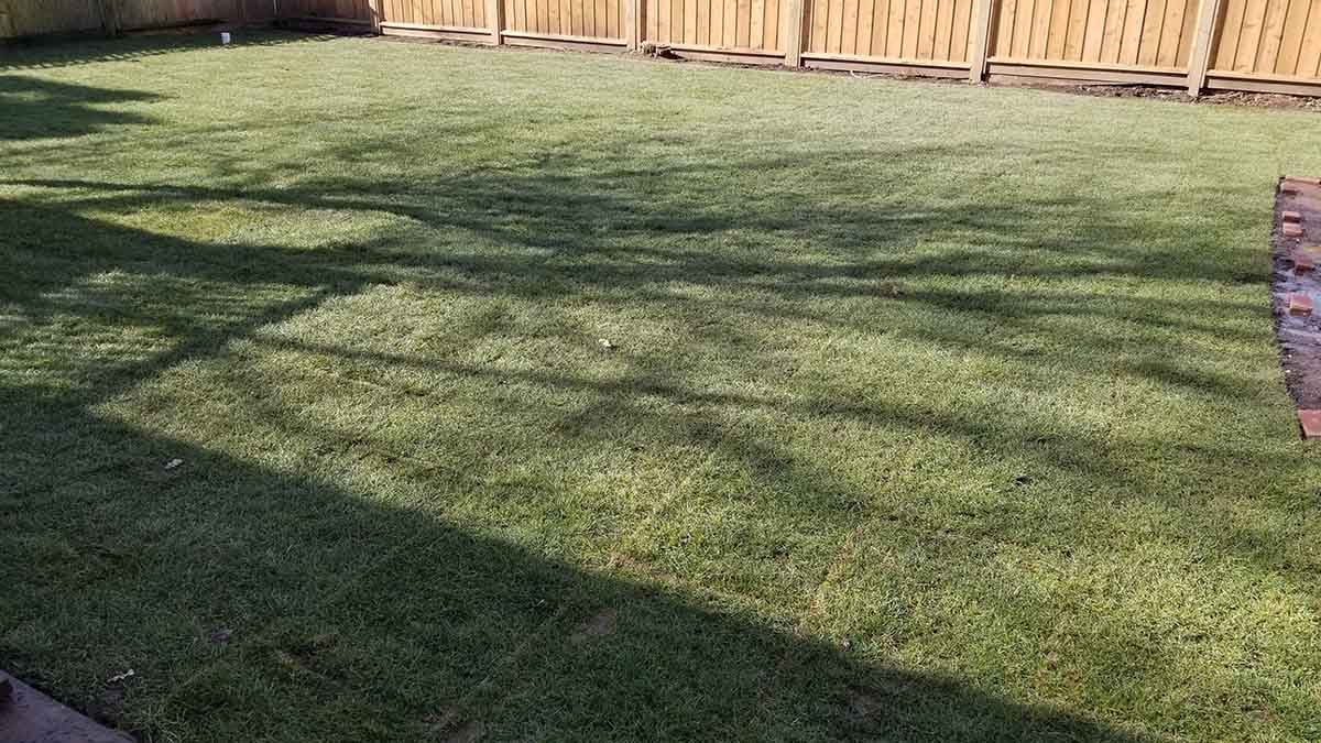 Backyard in Abbotsford French Drain Install 23