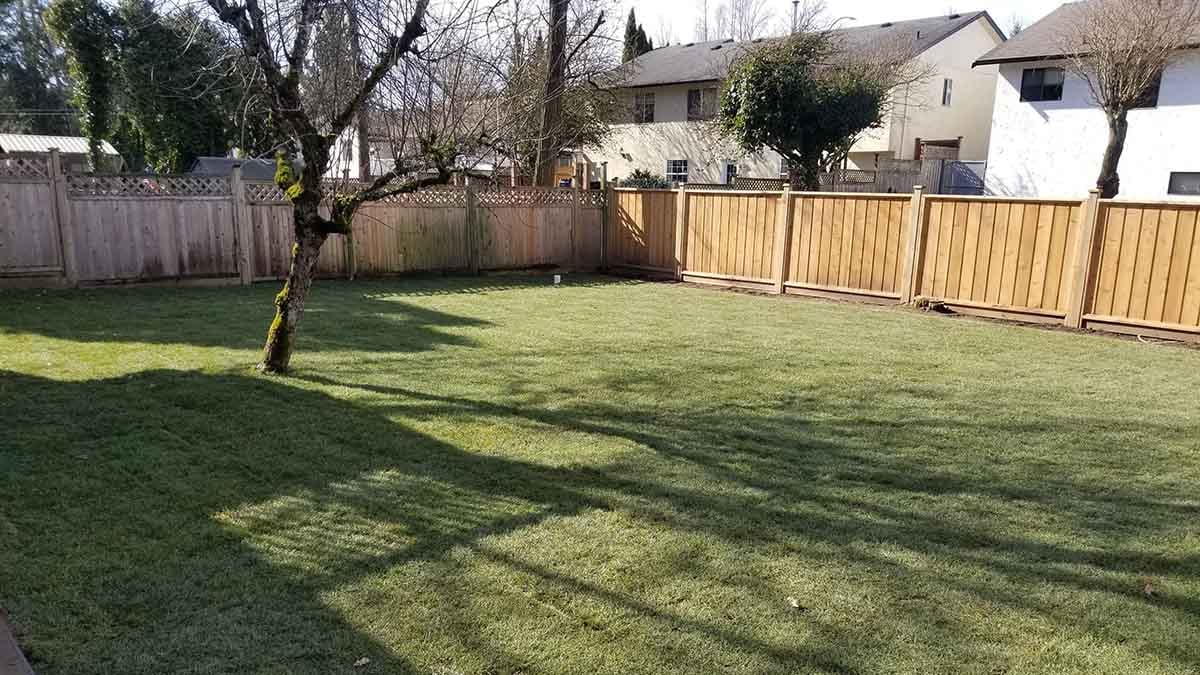 Backyard in Abbotsford French Drain Install 24