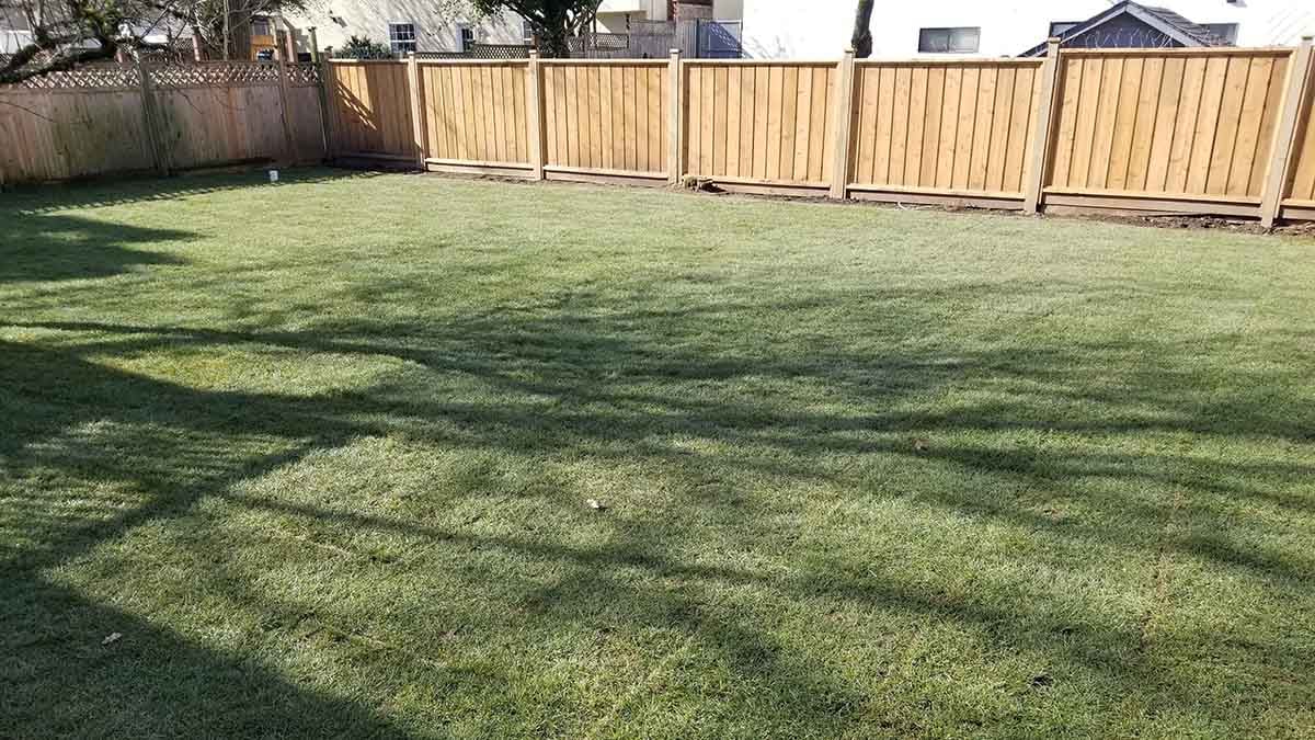 Backyard in Abbotsford French Drain Install 25