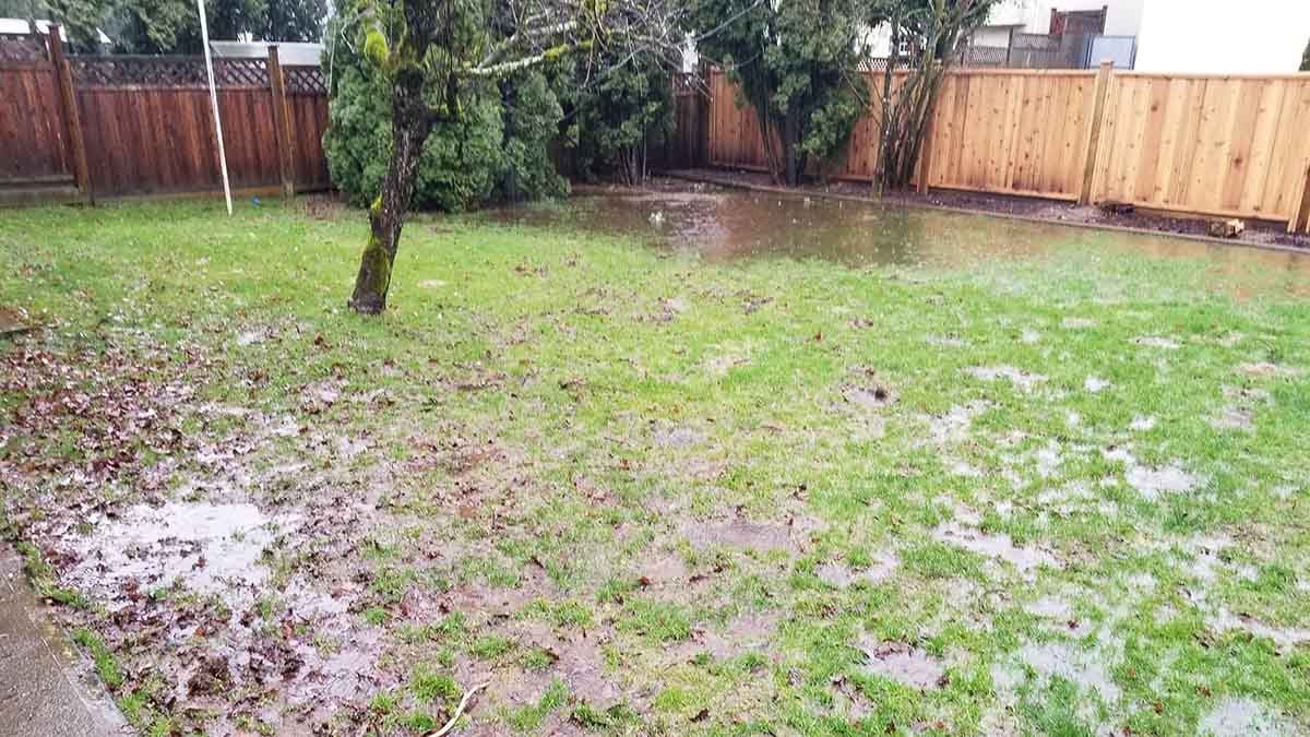 Backyard in Abbotsford French Drain Install 3