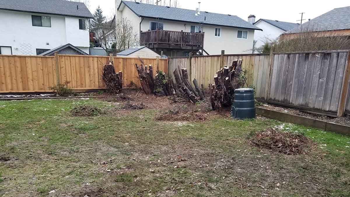 Backyard in Abbotsford French Drain Install 4