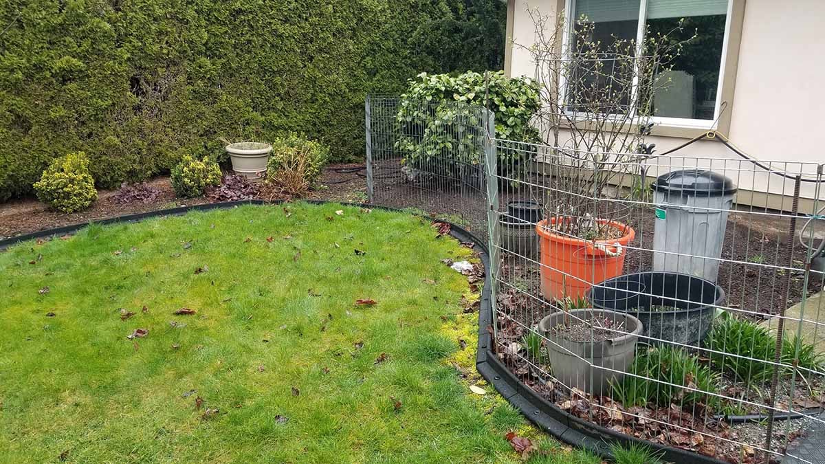 Backyard-Patio-Walkway-1