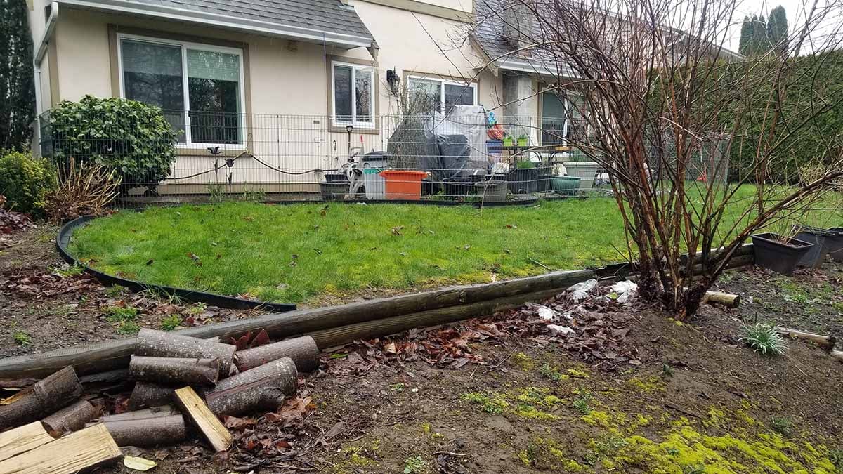 Backyard-Patio-Walkway-2