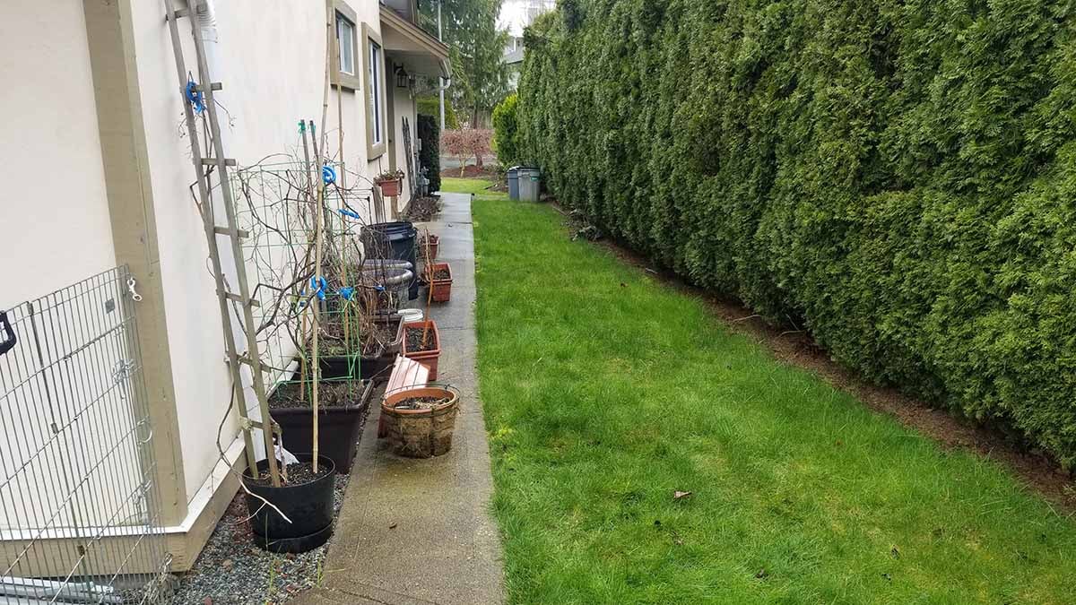 Backyard-Patio-Walkway-3