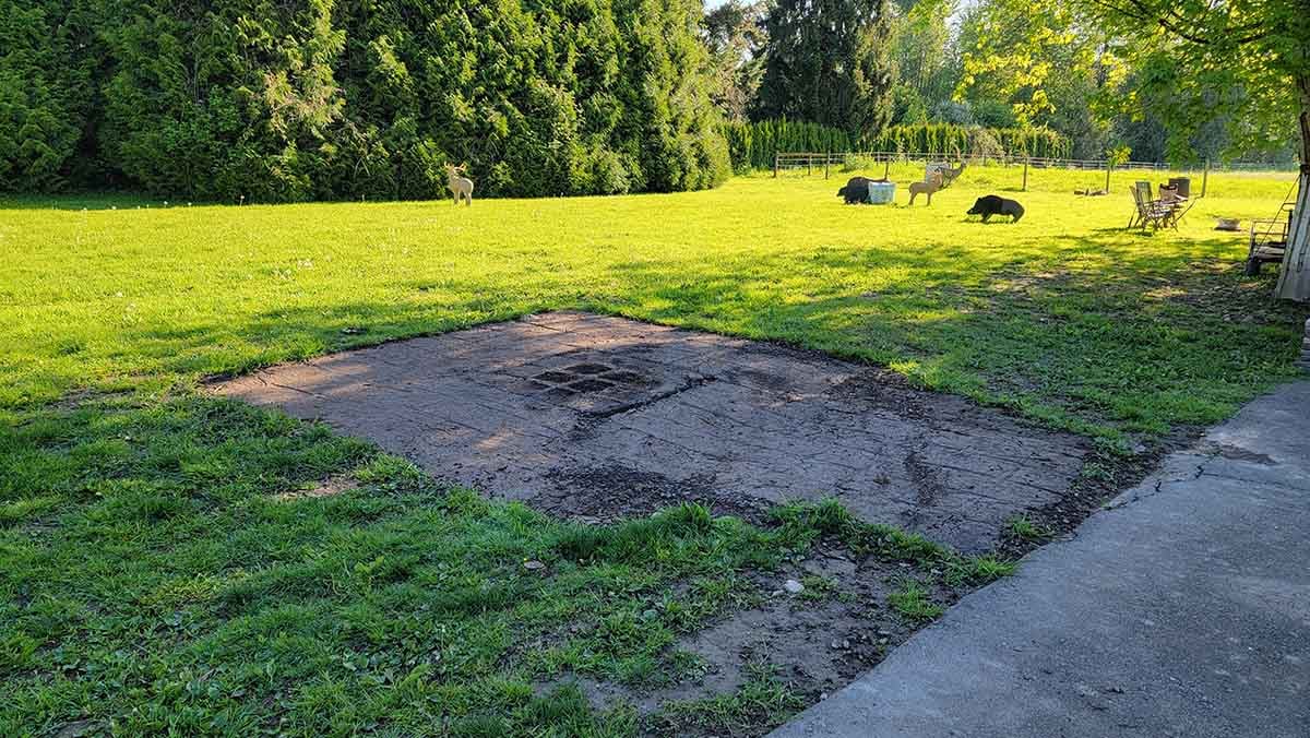 Bradner Landscaping Project Photo 3