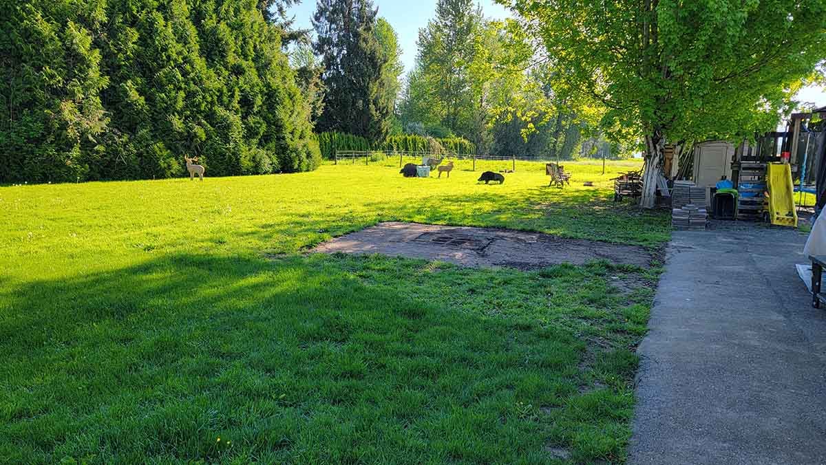 Bradner Landscaping Project Photo 4