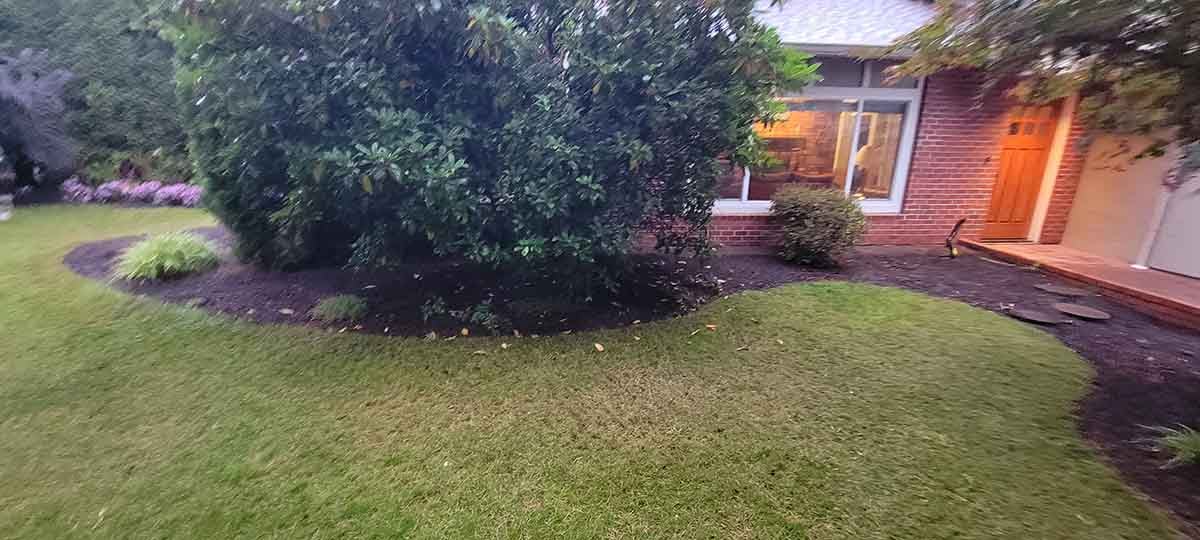 Photo of Perimeter Drain Install 1