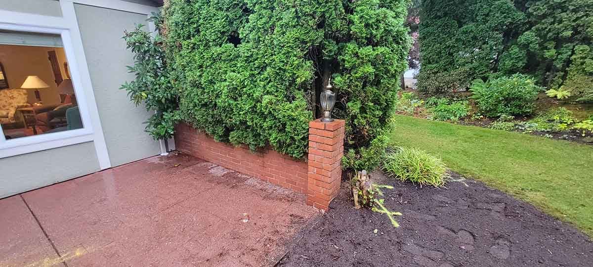 Photo of Perimeter Drain Install 2