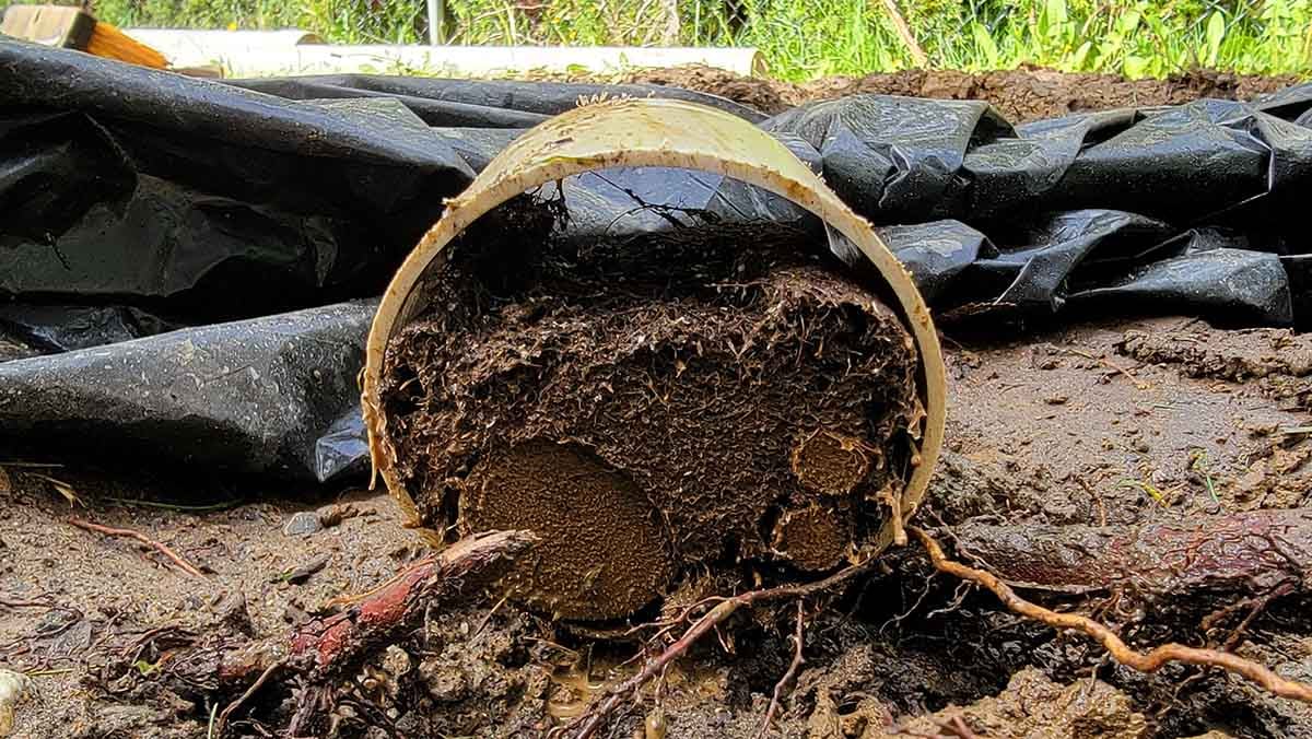 Chilliwack Perimeter Drain Install Photo 9