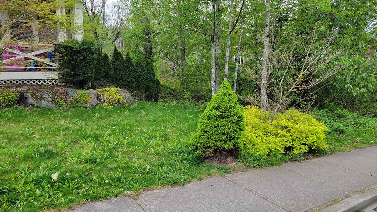 Chilliwack Yard Landscaping Project Photo 1