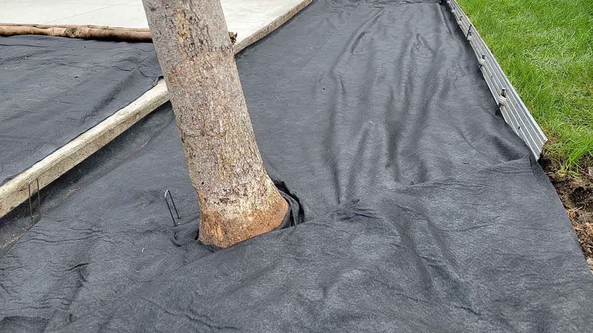 Cultus Lake Landscaping Project Photo 4