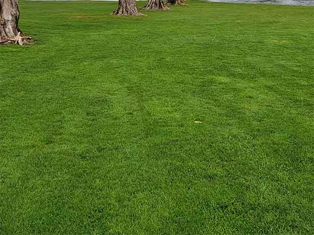 Drainage Project Hatzic