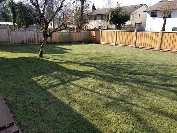East Abbotsford Backyard French Drain
