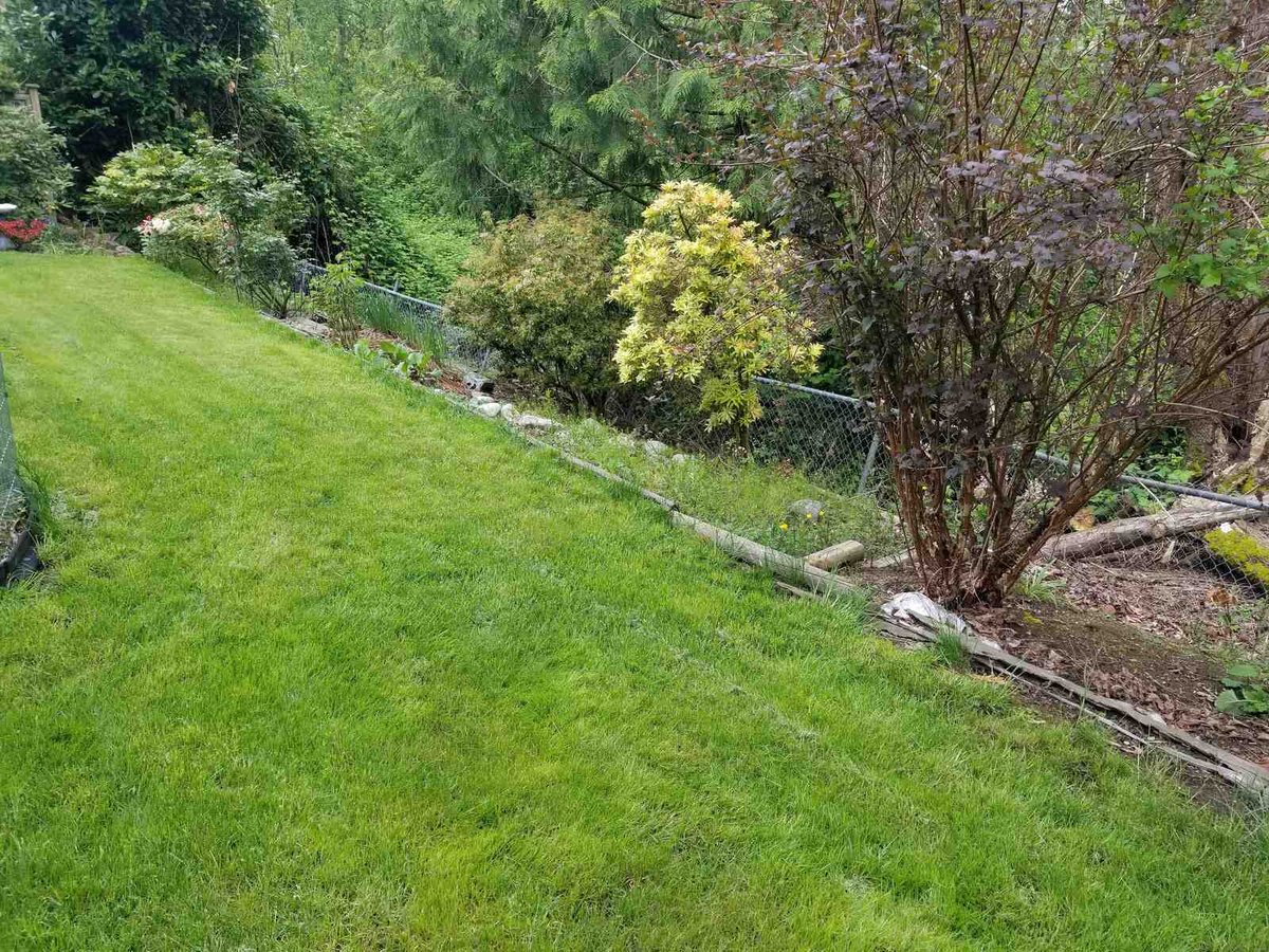 2_Well-manicured lawn with shrubs and fence in Abbotsford, BC, after landscaping work by Back40 Landscaping