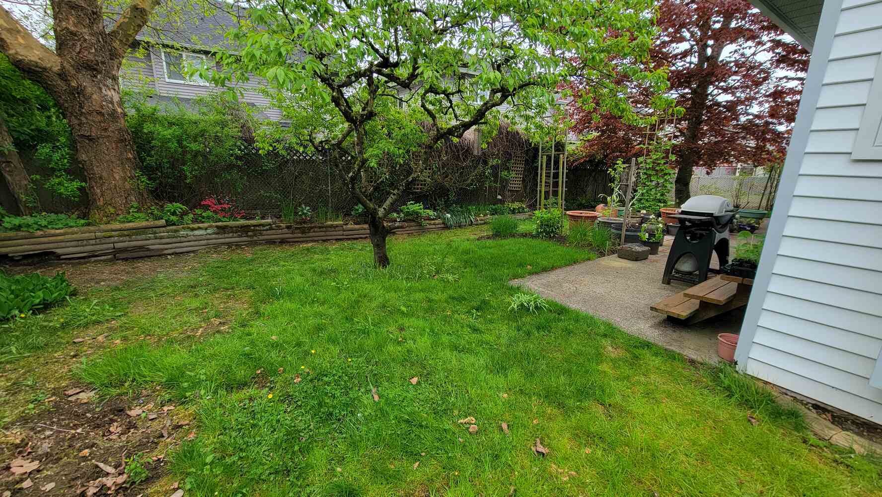 1_Residential backyard with vibrant plants and a modern retaining wall designed by Back40 Landscaping in Abbotsford, BC