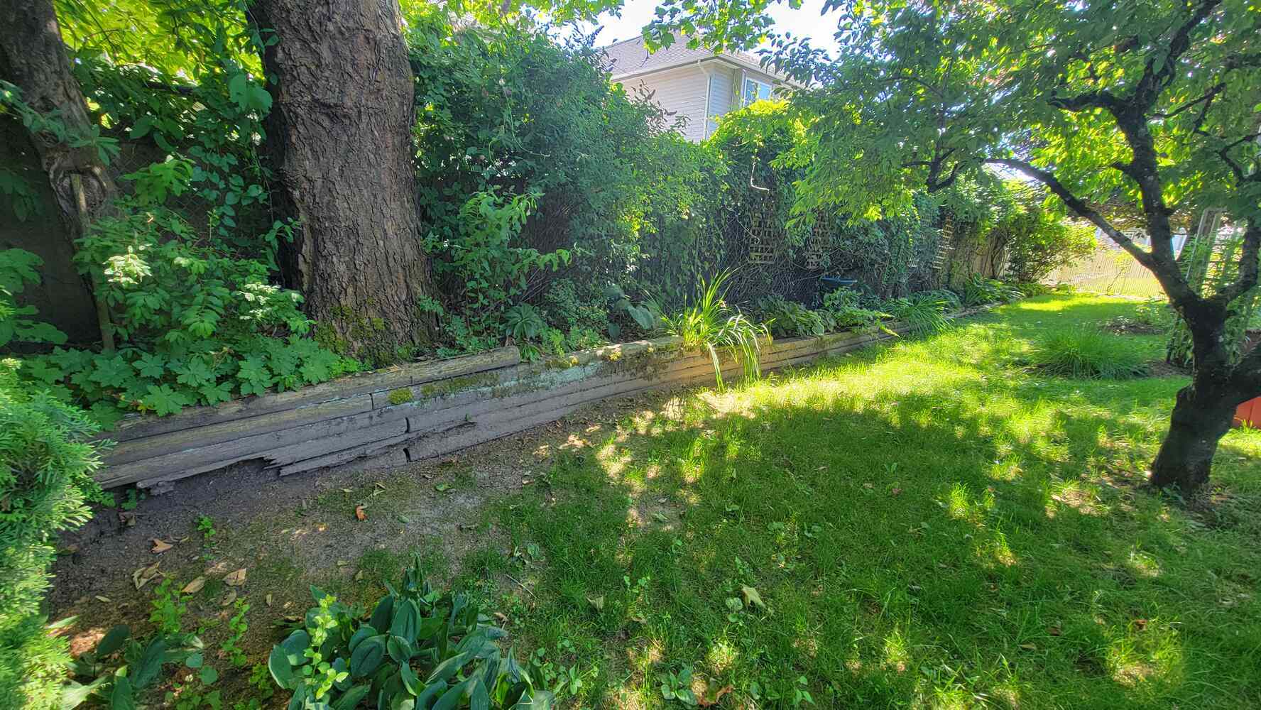 3_Backyard garden with tall trees and a retaining wall installed by Back40 Landscaping in Abbotsford, BC
