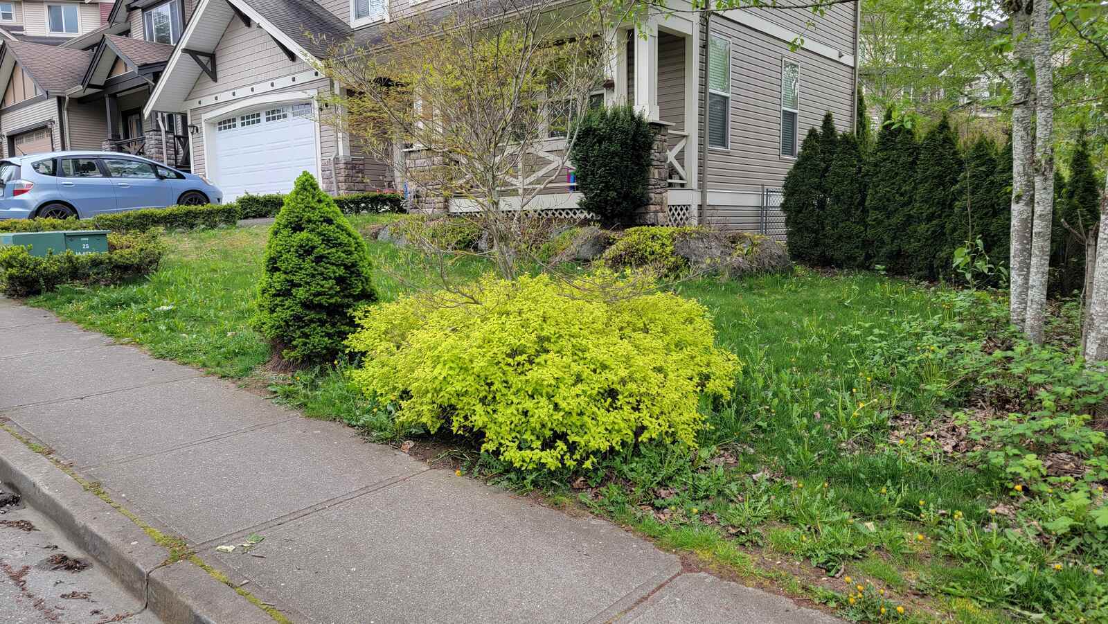 1_residential-landscape-with-bushes-and-lawn-before-hardscaping-by-back40-landscaping-in-chilliwack