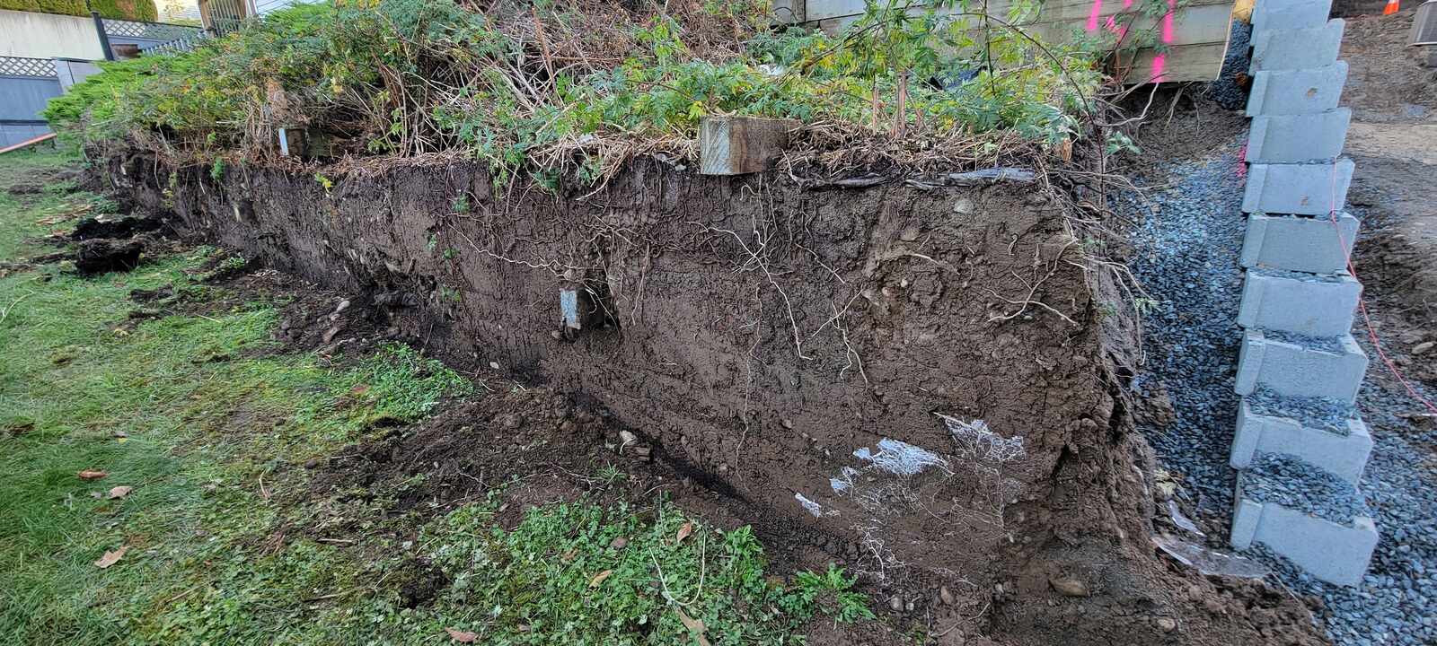 11_close-up-view-of-retaining-wall-erosion-and-exposed-roots-before-repair-in-chilliwack-bc