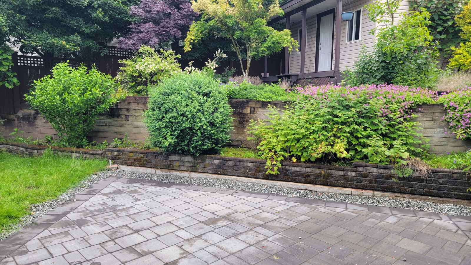 1_lush-greenery-with-mature-trees-and-retaining-wall-construction-back40-landscaping-langley-bc