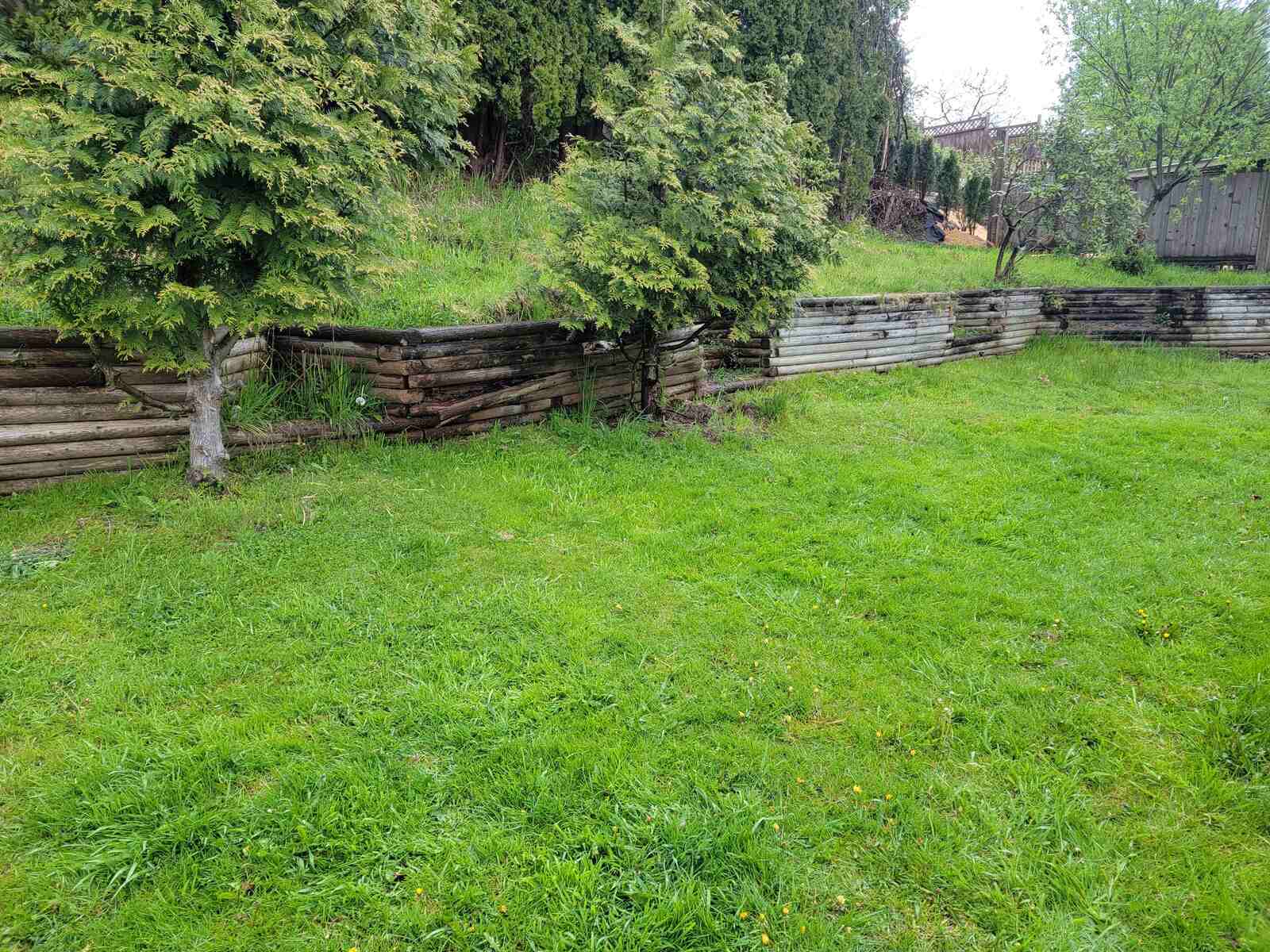 1_Grassy backyard area with retaining wall built by Back40 Landscaping in Mission, BC
