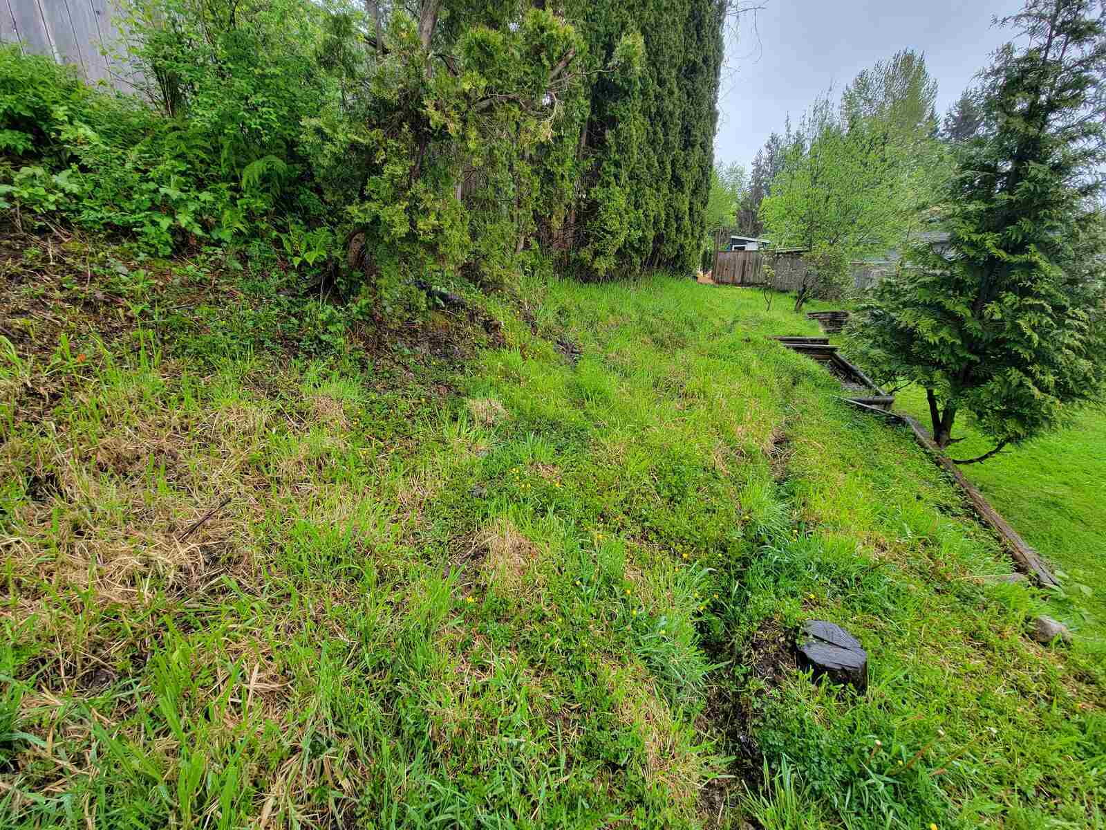 2_Sloped backyard landscape with trees and retaining wall construction by Back40 Landscaping in Mission, BC