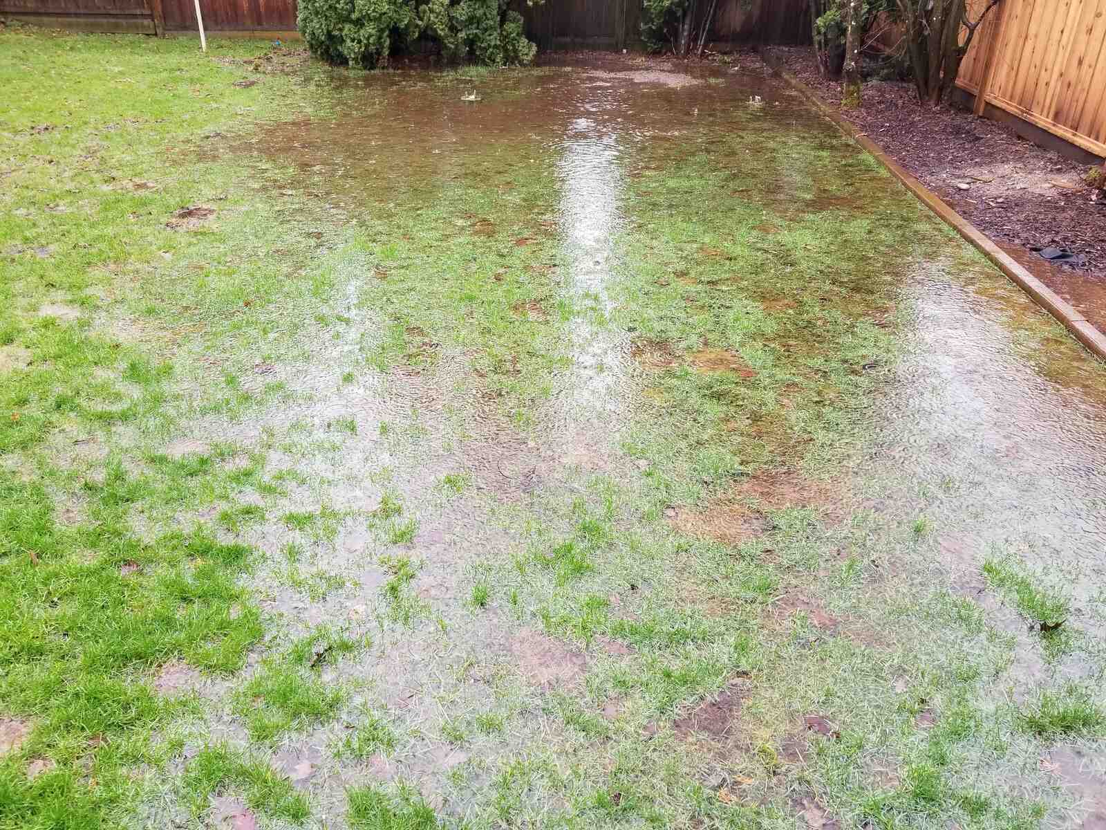 Flooded backyard lawn in Abbotsford, BC, indicating a need for drainage solutions by Back 40 Landscaping