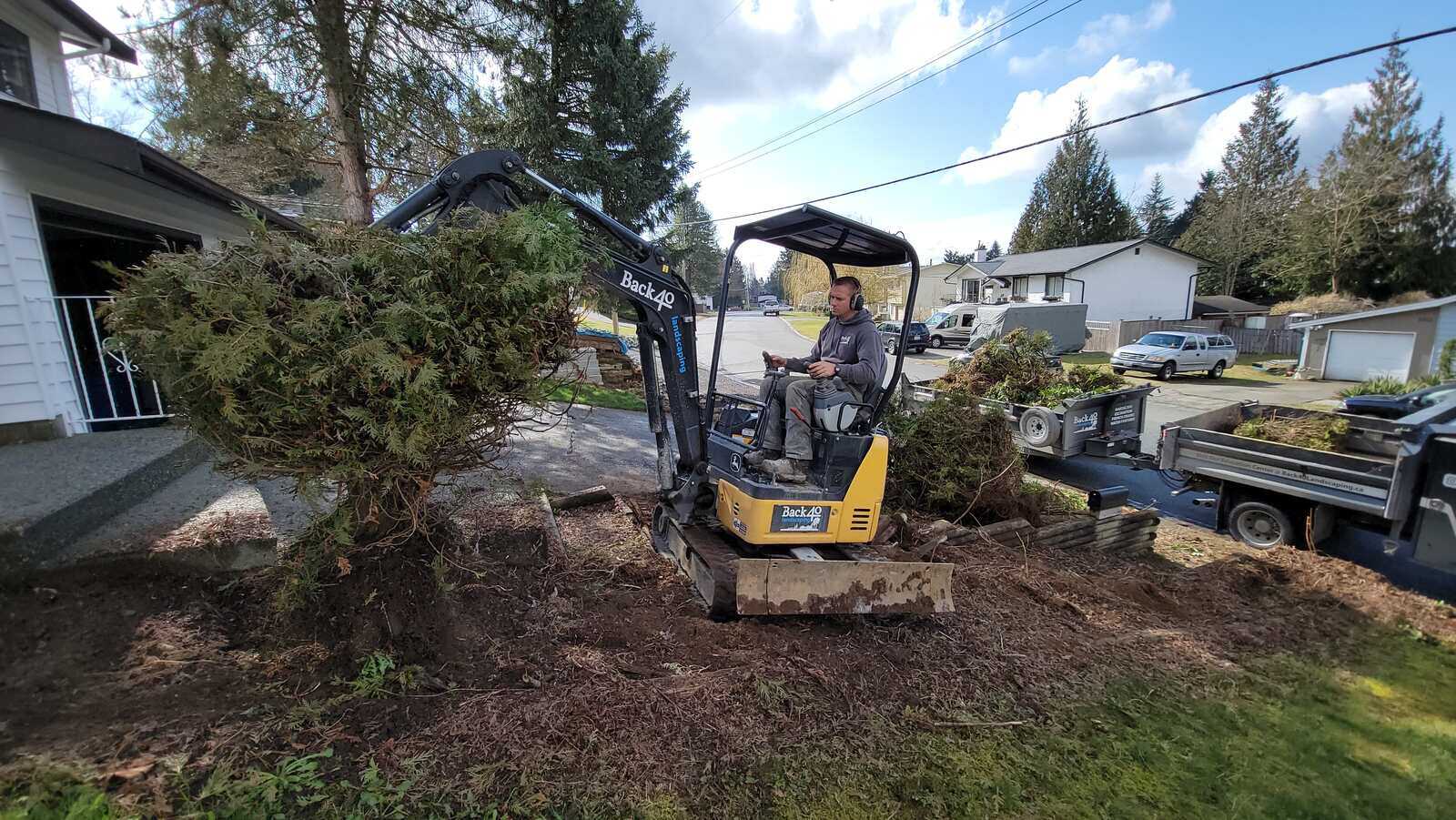 Back 40 Landscaping using excavator to remove large shrubs in Abbotsford, BC, during landscape clearing