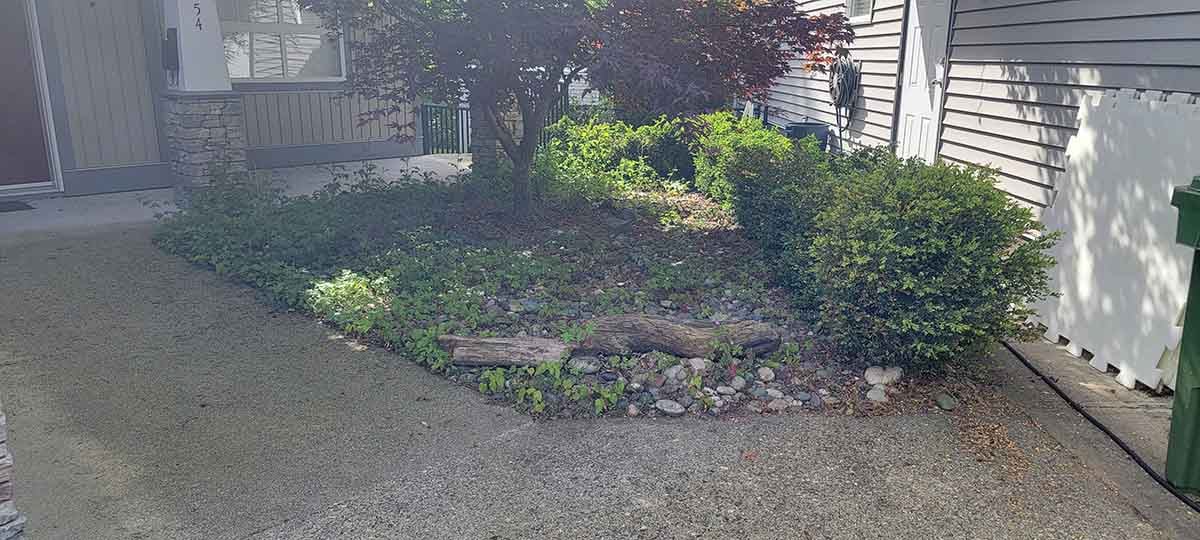 Front Yard Landscaping Project Photo 1