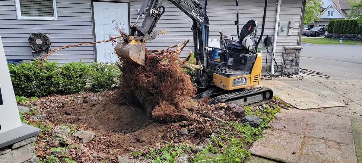 Front Yard Landscaping Project Photo 2