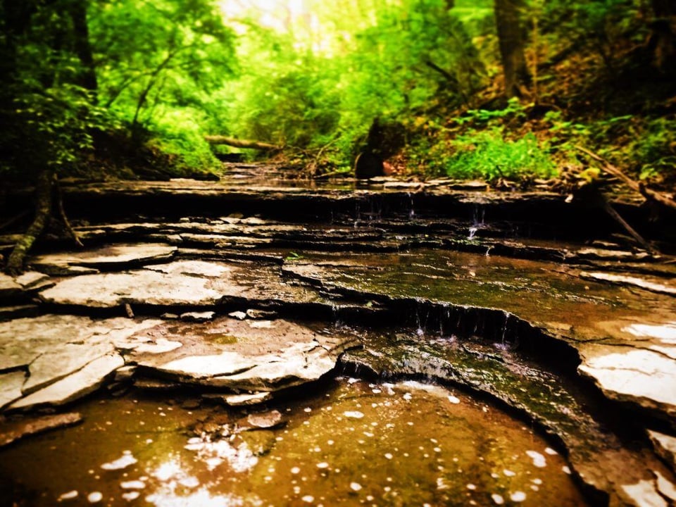 outdoor-backyard-water-feature