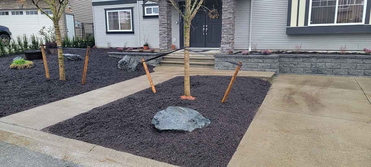 Landscaping Wine Barrel Yard Mission Photo 14