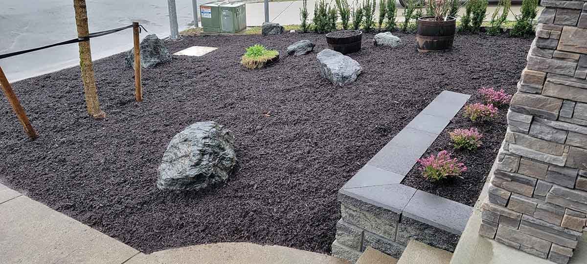 Landscaping Wine Barrel Yard Mission Photo 19