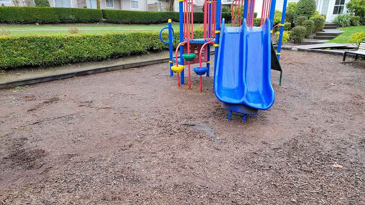 Langley Arbor Playground Project Photo 3