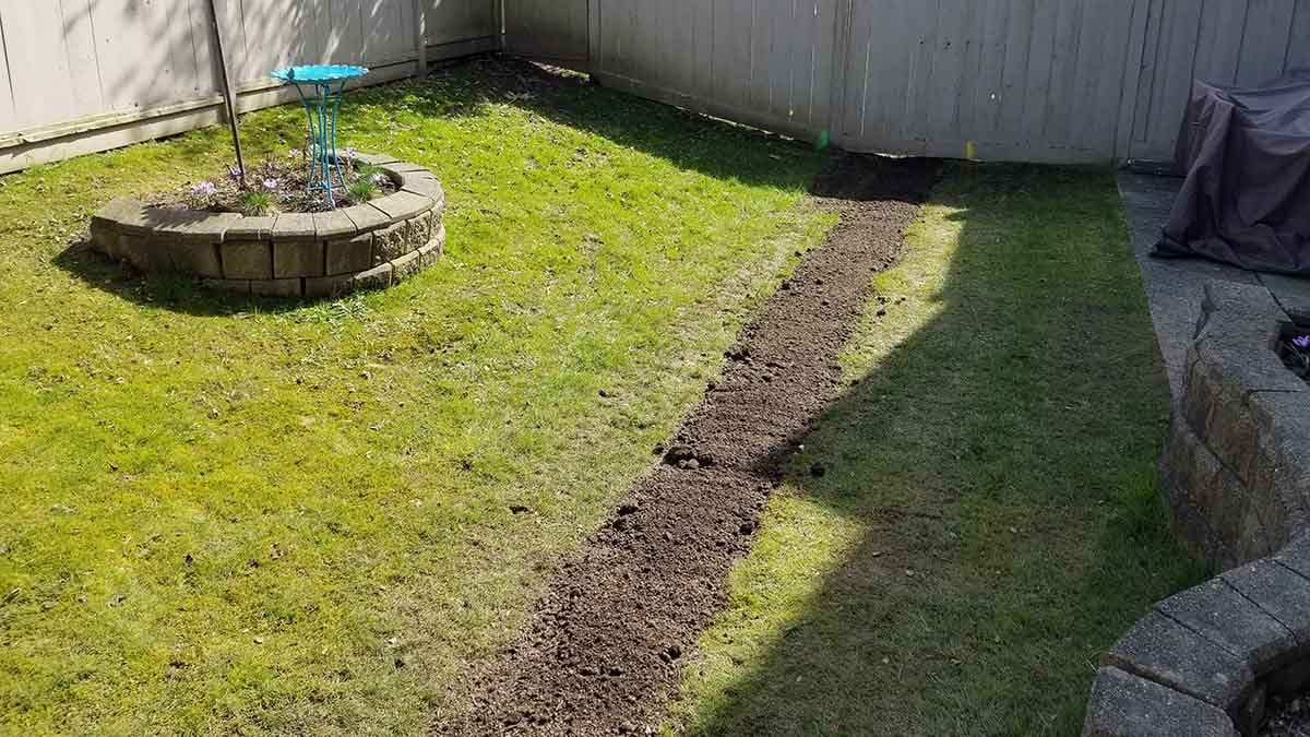 Langley Willow Abor Townhouse French Drain Install Photo 13