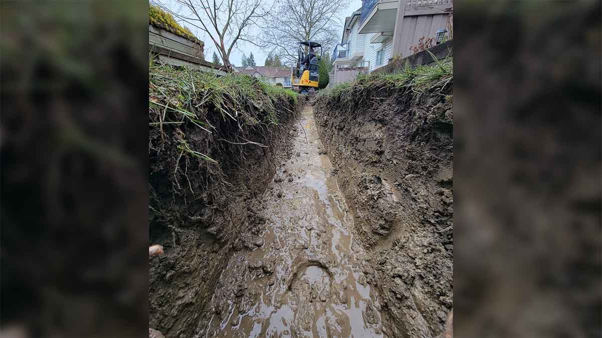 Langley Willow Abor Townhouse French Drain Install Photo 19