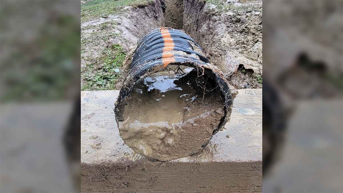 Langley Willow Abor Townhouse French Drain Install Photo 20