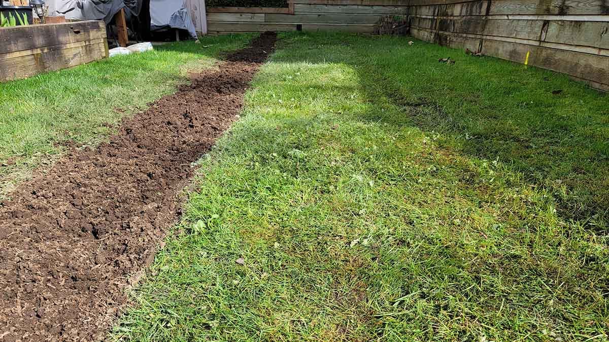 Langley Willow Abor Townhouse French Drain Install Photo 22