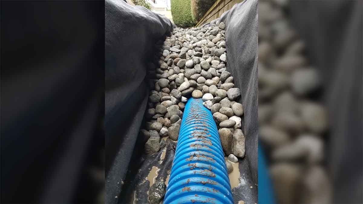 Langley Willow Abor Townhouse French Drain Install Photo 8