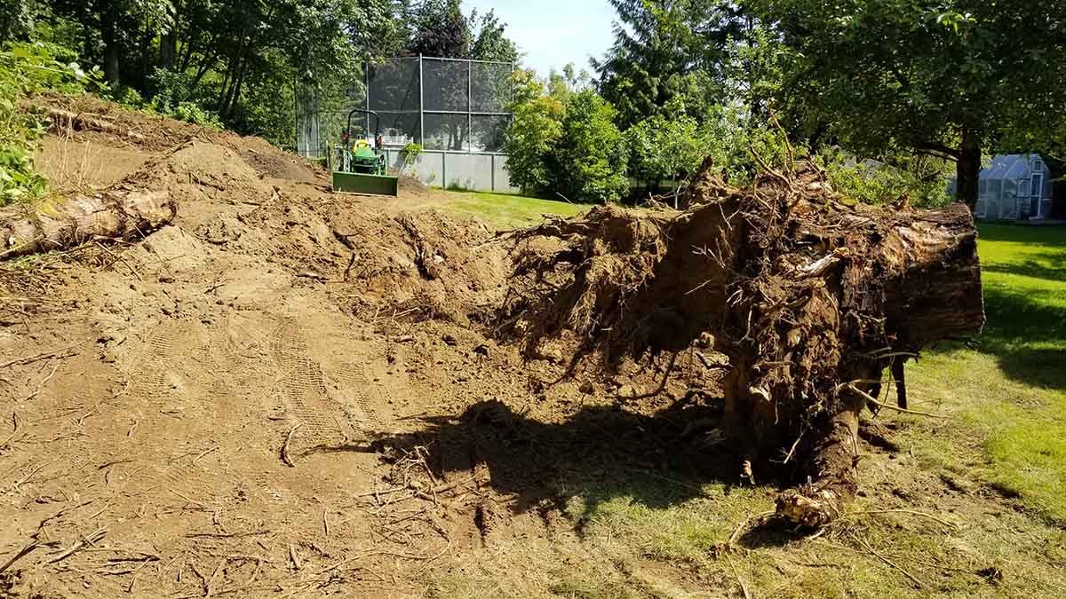 New Lawn Landscaping Abbotsford Photo 10