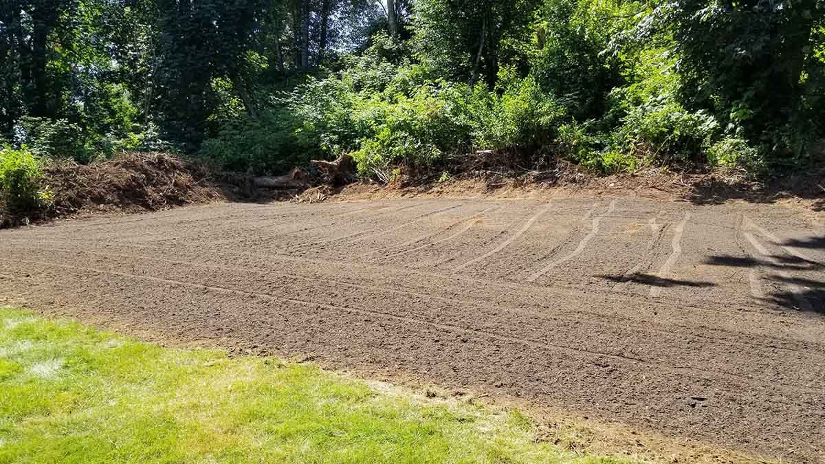 New Lawn Landscaping Abbotsford Photo 11