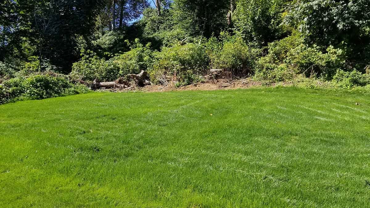 New Lawn Landscaping Abbotsford Photo 14